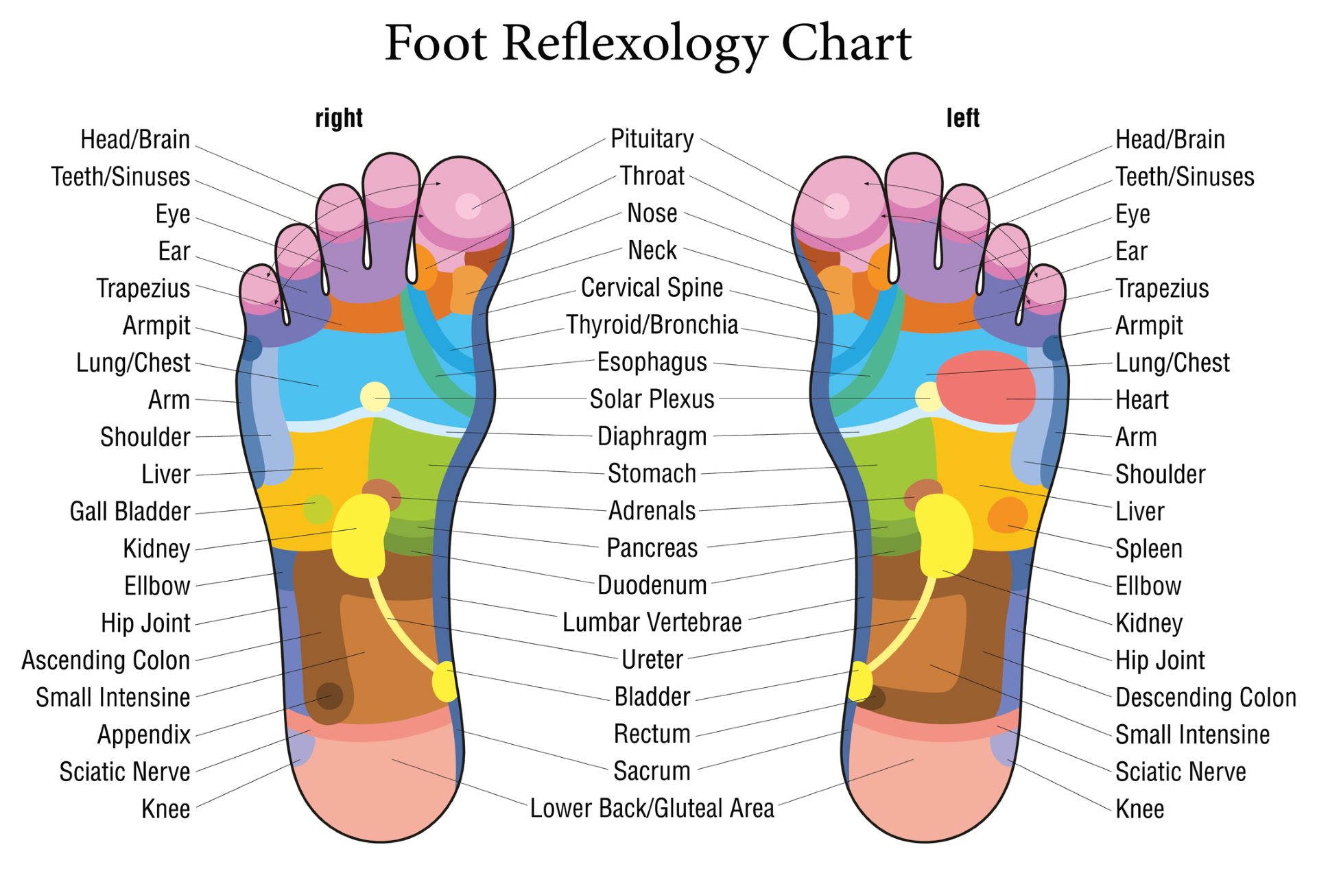 What Is Reflexology? | Engle's Natural Healing and Massage